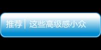 推荐 ▏这些高级感小众包包必须有姓名！